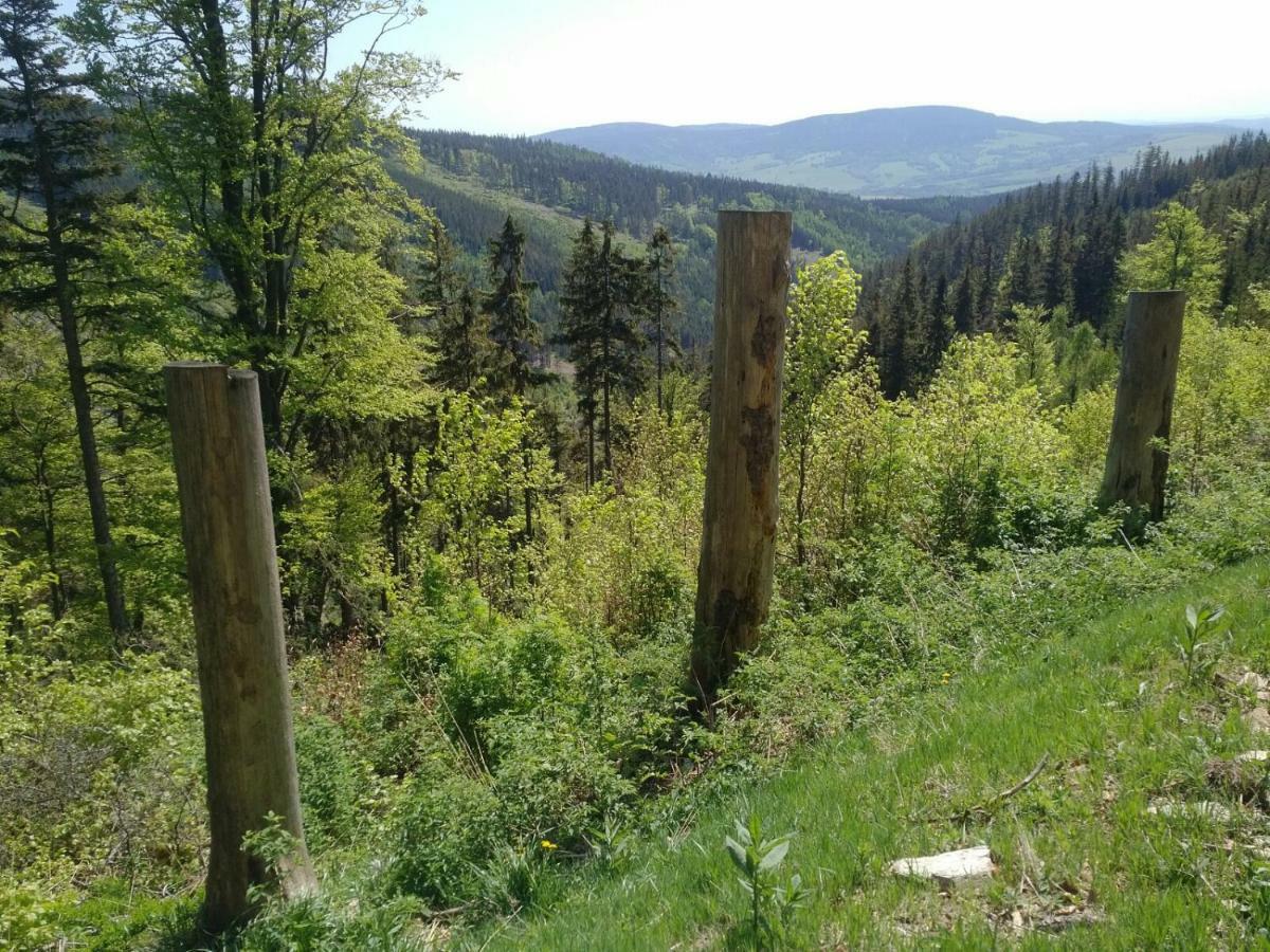 Apartmany Sport Dolni Morava Luaran gambar